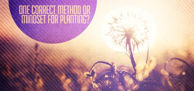 church planting model