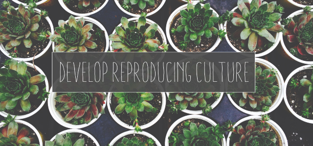 Plants Must Develop Reproducing Culture—But How?