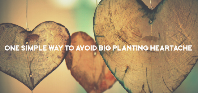 One Simple Way to Avoid Big Planting Heartache