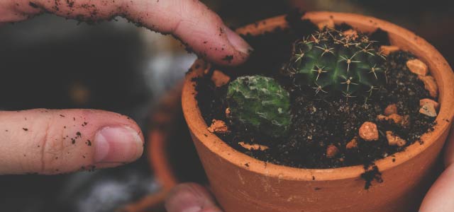 Can We Still Call It "Church Planting"?