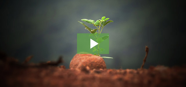 VIDEO: Vineyard Churches Announce Church Planting Summit