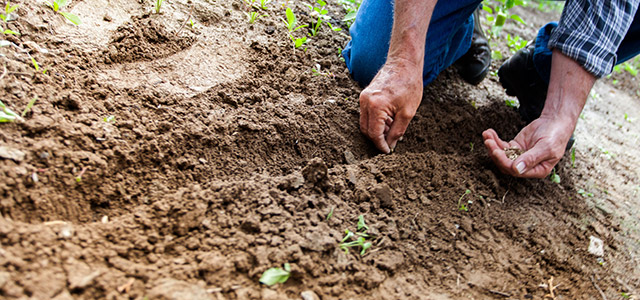 Tim Spivey: What if Churches “Grew Their Own Food?”